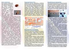 О причинах распространения клопов, профилактике их появления и дезинсекции